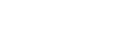 Luxury Transport Inc