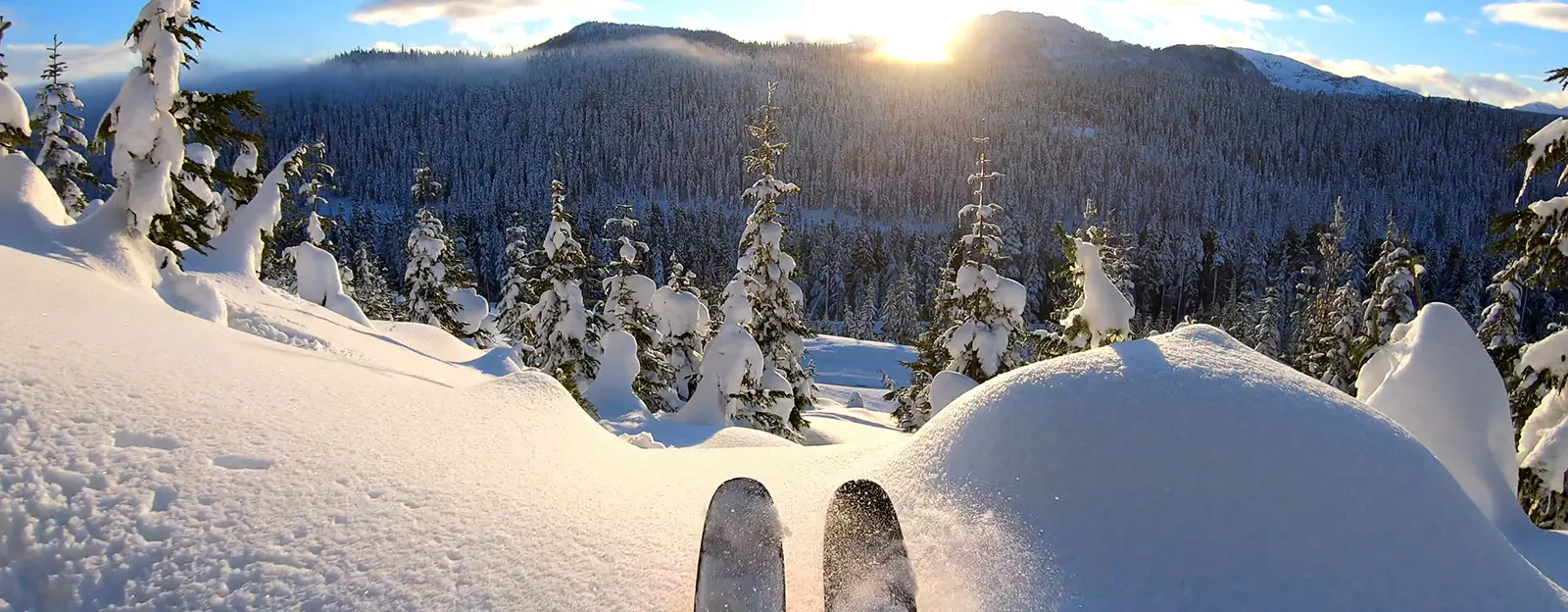 Whistler Powder Skiing