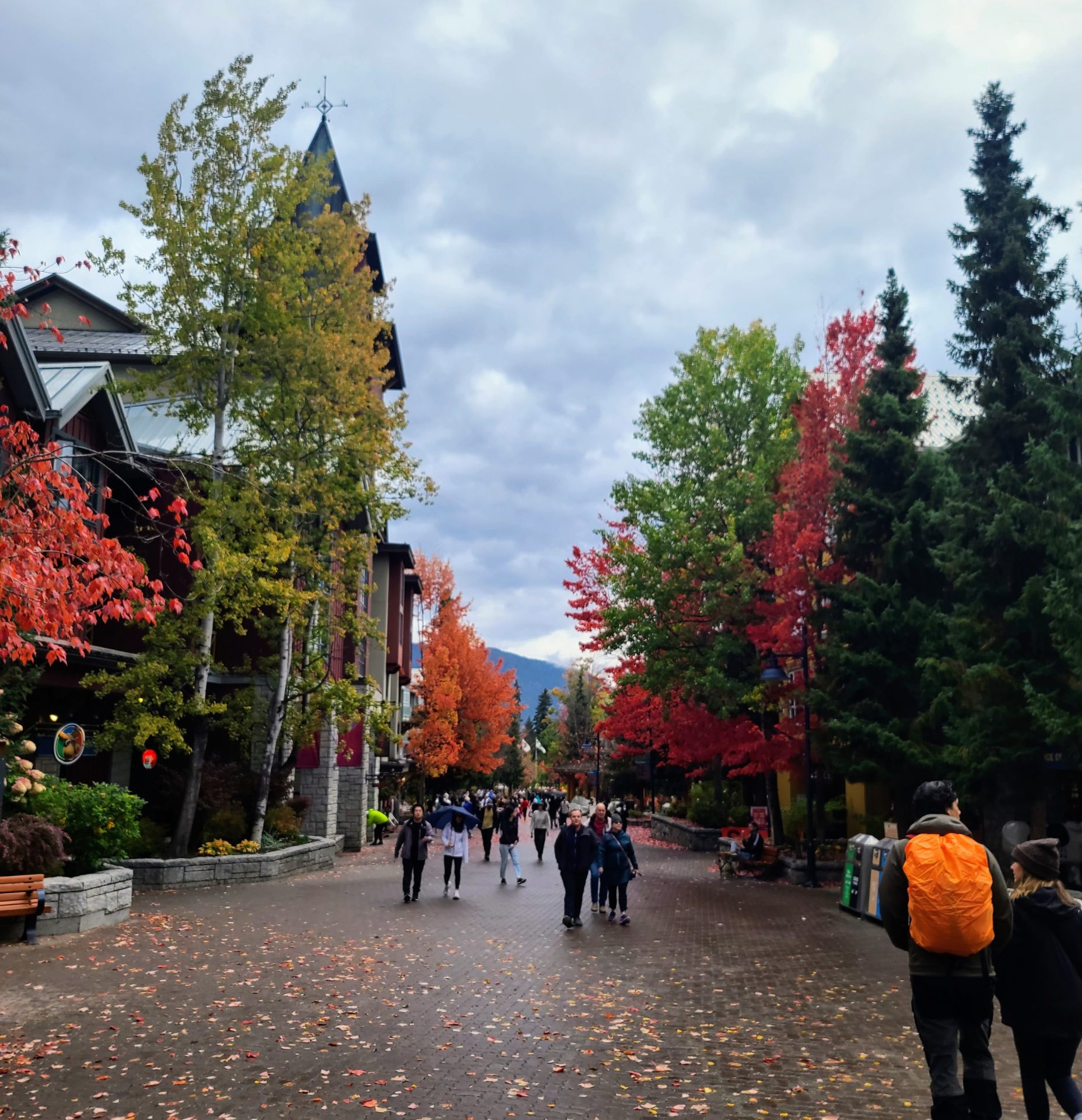 Things To Do In Whistler When It’s Raining