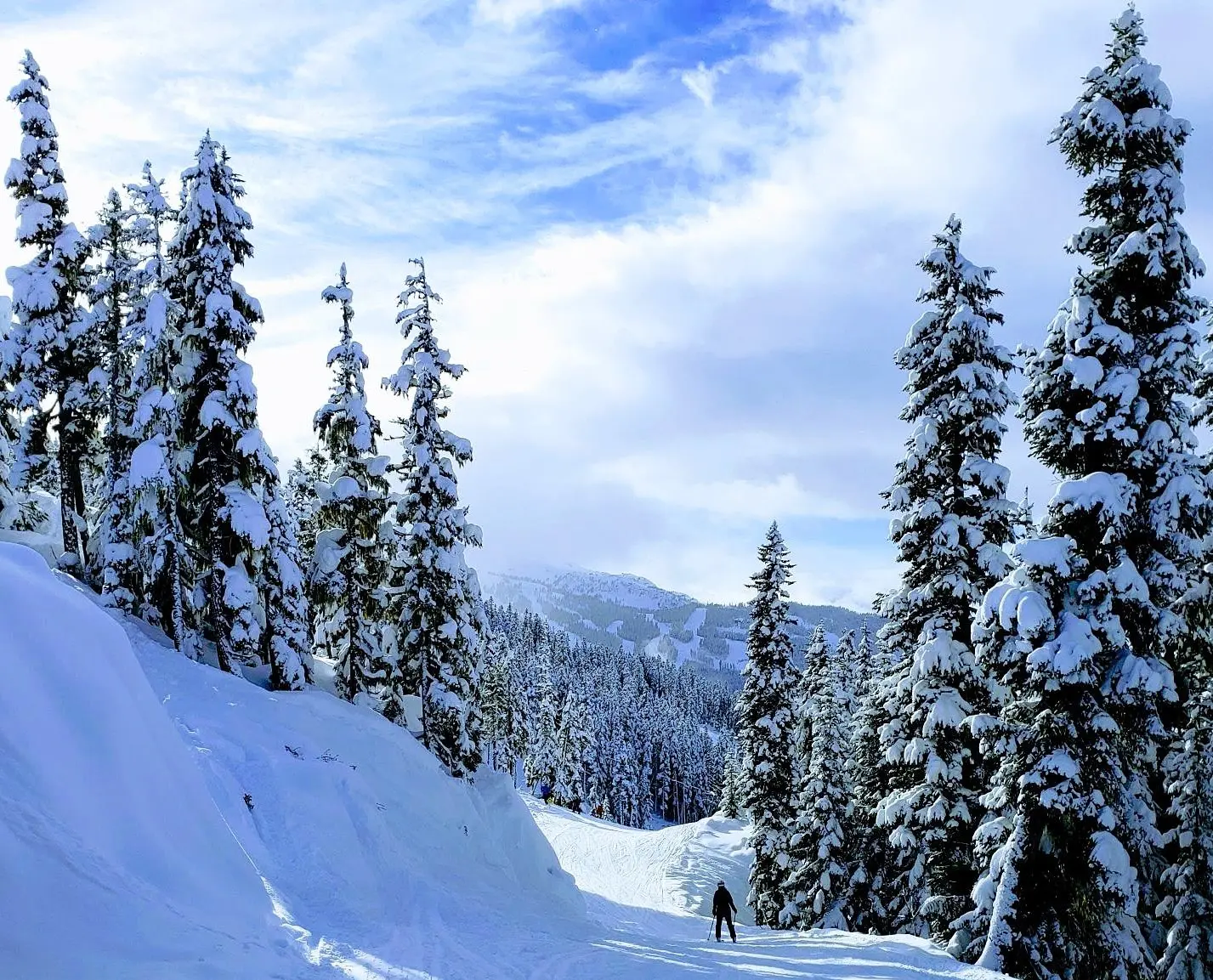 What’s Happening in Whistler this Winter?