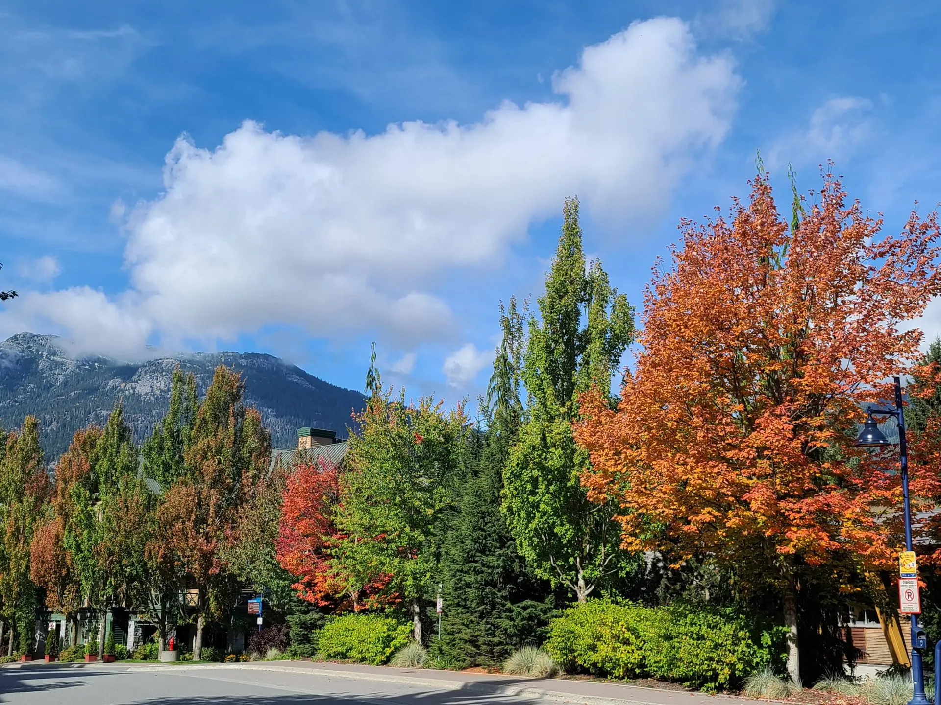 Fall in Whistler and Planning for Winter!